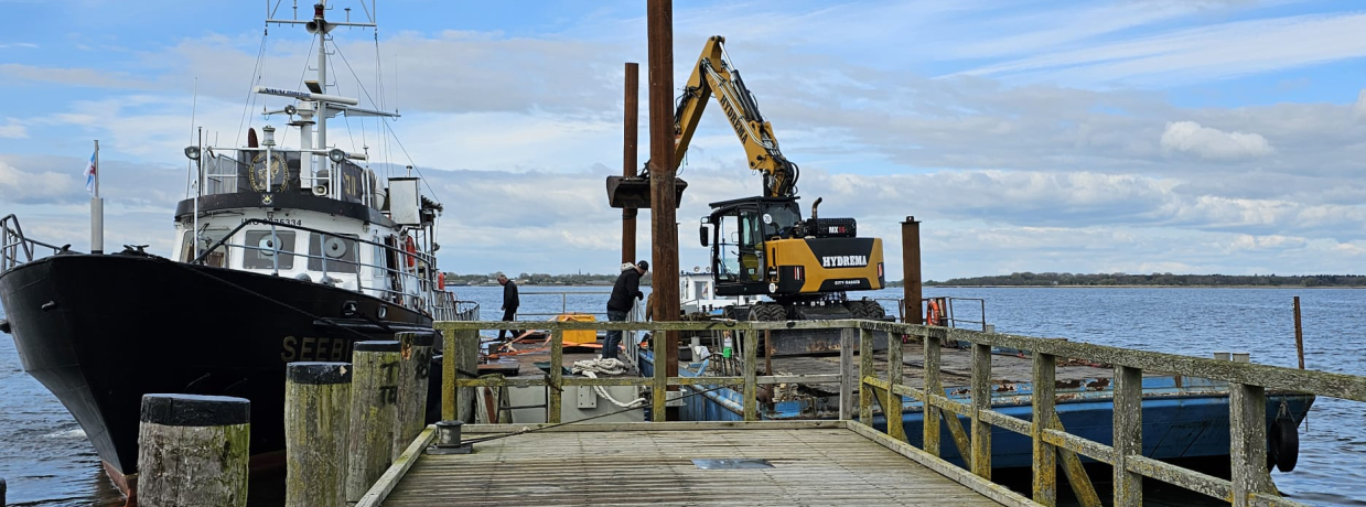 Seebiene bei Ponton Verankerung in Ludwigsburg